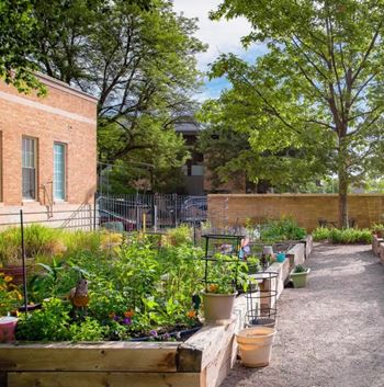 Community garden